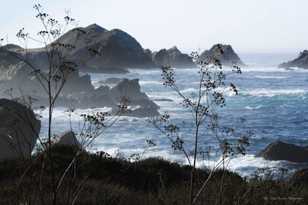 Big Sur coast-0068